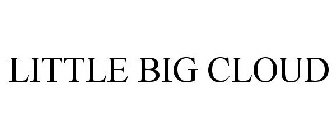 LITTLE BIG CLOUD