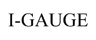 I-GAUGE