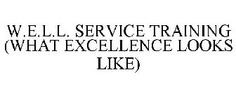W.E.L.L. (WHAT EXCELLENCE LOOKS LIKE)