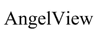 ANGELVIEW