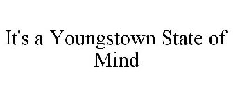 IT'S A YOUNGSTOWN STATE OF MIND