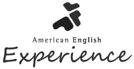 AMERICAN ENGLISH EXPERIENCE