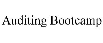 AUDITING BOOTCAMP