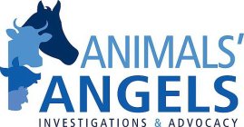 ANIMALS' ANGELS INVESTIGATIONS & ADVOCACY