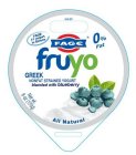 FAGE #1 YOGURT IN GREECE FAGE FRUYO GREEK NONFAT STRAINED YOGURT BLENDED WITH BLUEBERRY ALL NATURAL