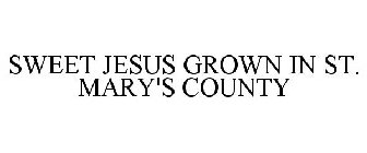 SWEET JESUS GROWN IN ST. MARY'S COUNTY