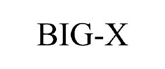BIG-X