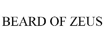 BEARD OF ZEUS