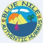 BLUE NILE AUTHENTIC HUMMUS