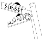 SUNSET & PALM TREES 800 9600
