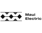 MAUI ELECTRIC