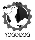 YOGO DOG