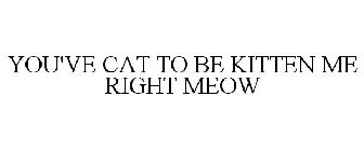YOU'VE CAT TO BE KITTEN ME RIGHT MEOW