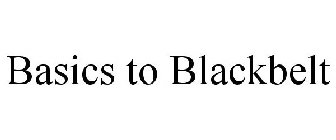 BASICS TO BLACKBELT