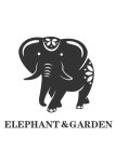 ELEPHANT & GARDEN