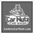 CAR NUTZ CAR WASH CARNUTZCARWASH.COM