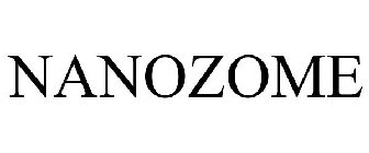NANOZOME