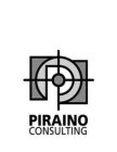 P PIRAINO CONSULTING