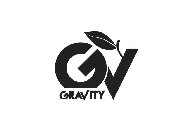 GV GRAVITY