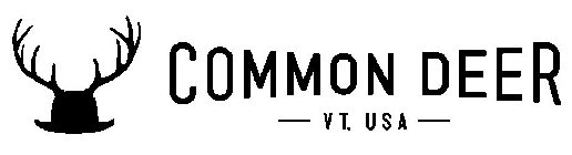 COMMON DEER - VT, USA -