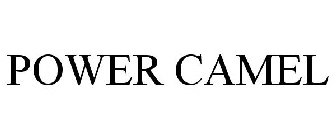 POWER CAMEL