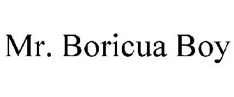 MR. BORICUA BOY