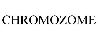 CHROMOZOME