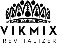 VIKMIX REVITALIZER