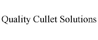 QUALITY CULLET SOLUTIONS