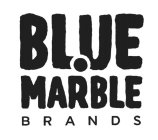 BLUE MARBLE BRANDS