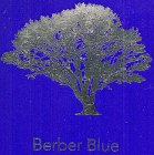 BERBER BLUE