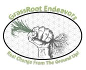 GRASSROOT ENDEAVORS REAL CHANGE FROM THE GROUND UP!
