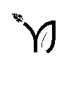 YJ