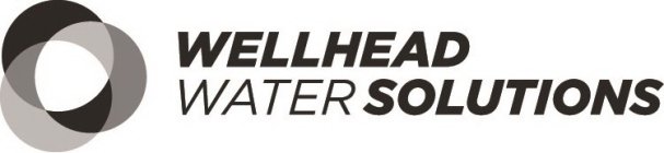 WELLHEAD WATER SOLUTIONS