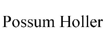 POSSUM HOLLER