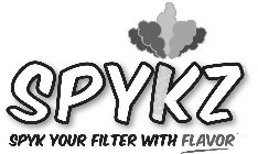 SPYKZ SPYK YOUR FILTER WITH FLAVOR