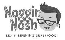 NOGGIN NOSH BRAIN RIPENING SUPERFOOD
