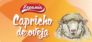 ESPANIA CAPRICHO DE OVEJA