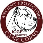 CANE CORSO ANCIENT PROTECTORS ICCF REGISTRY