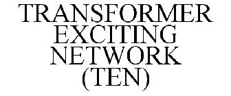 TRANSFORMER EXCITING NETWORK (TEN)
