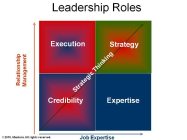 LEADERSHIP ROLES EXECUTION STRATEGY CRED