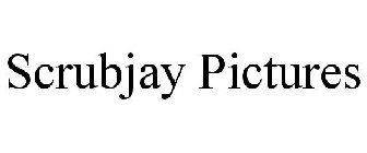 SCRUBJAY PICTURES