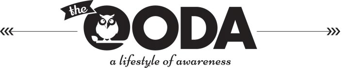 THE OODA A LIFESTYLE OF AWARENESS