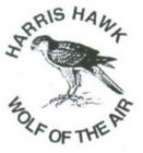 HARRIS HAWK WOLF OF THE AIR