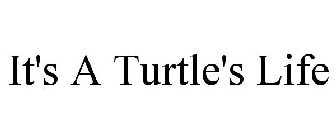 IT'S A TURTLE'S LIFE