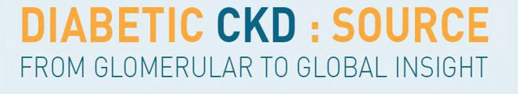 DIABETIC CKD : SOURCE FROM GLOMERULAR TO GLOBAL INSIGHT
