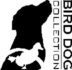 BIRD DOG COLLECTION