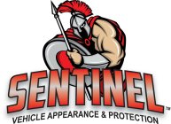 SENTINEL VEHICLE APPEARANCE & PROTECTION