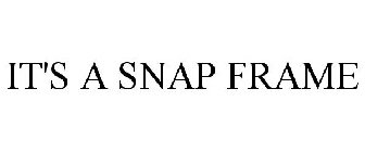 IT'S A SNAP FRAME