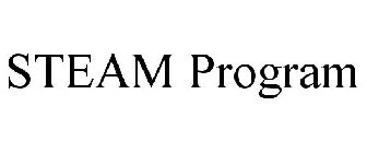 STEAM PROGRAM